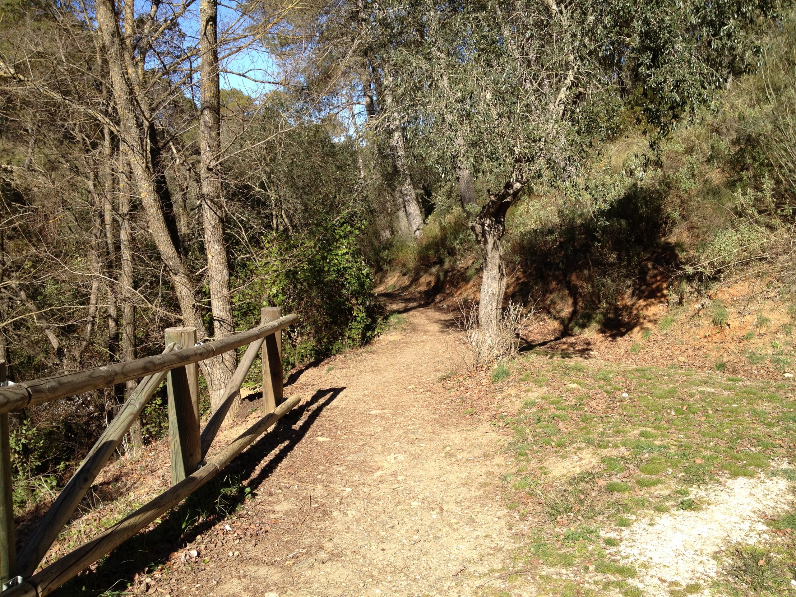 8 rutas naturales en Málaga para una aventura inolvidable 6 Natural routes