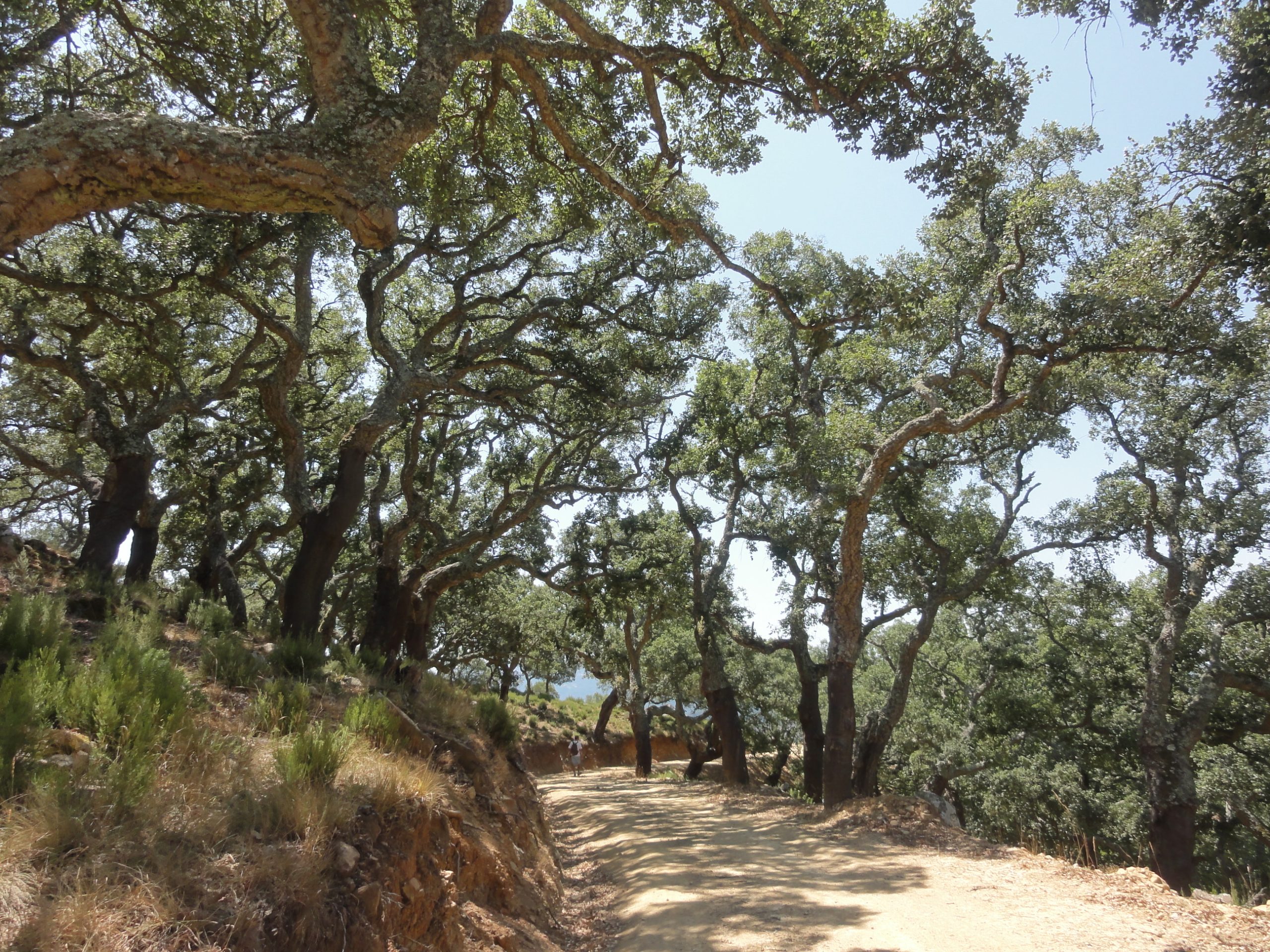 8 rutas naturales en Málaga para una aventura inolvidable 8 Natural routes
