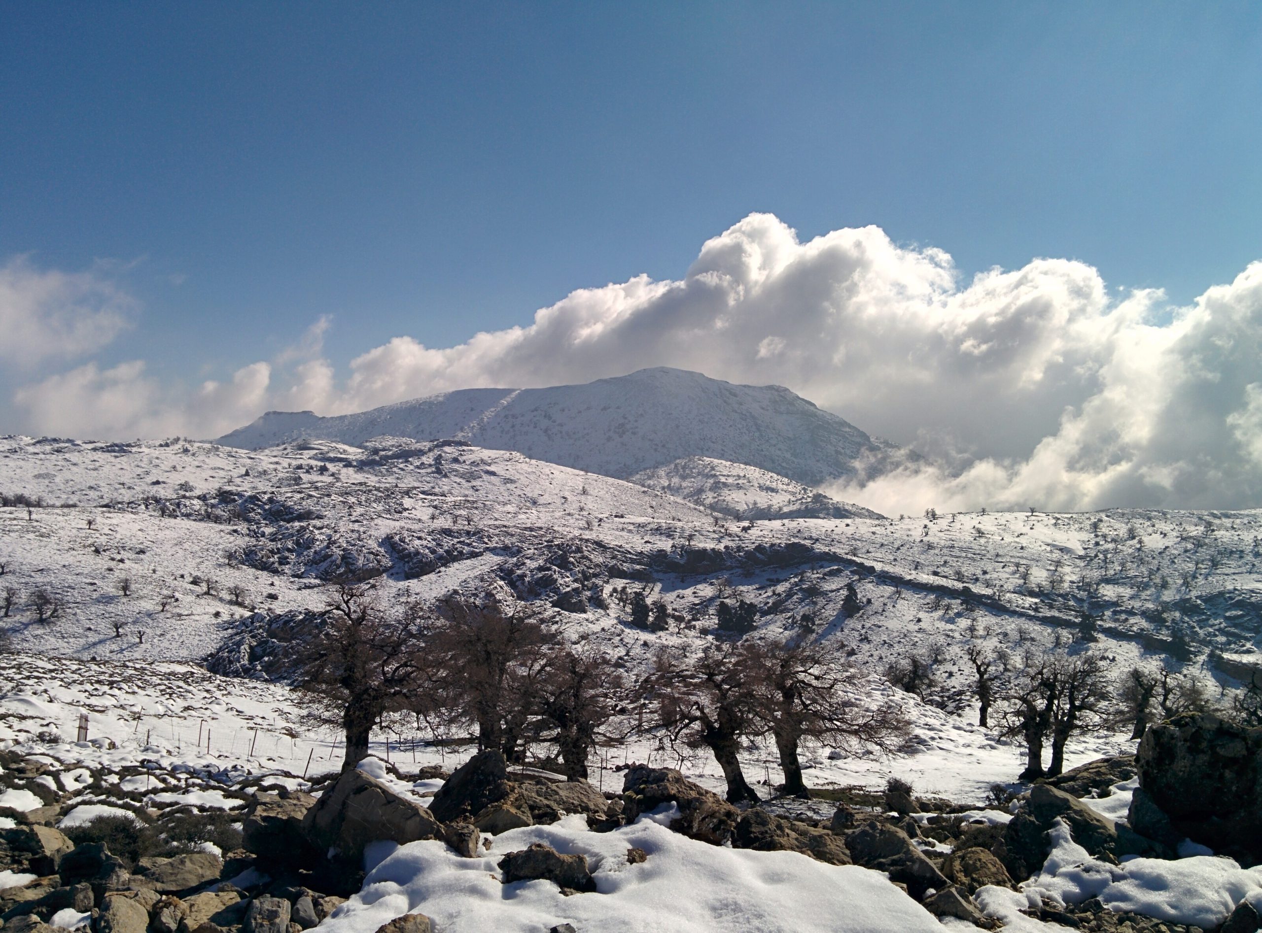 8 rutas naturales en Málaga para una aventura inolvidable 2 Natural routes