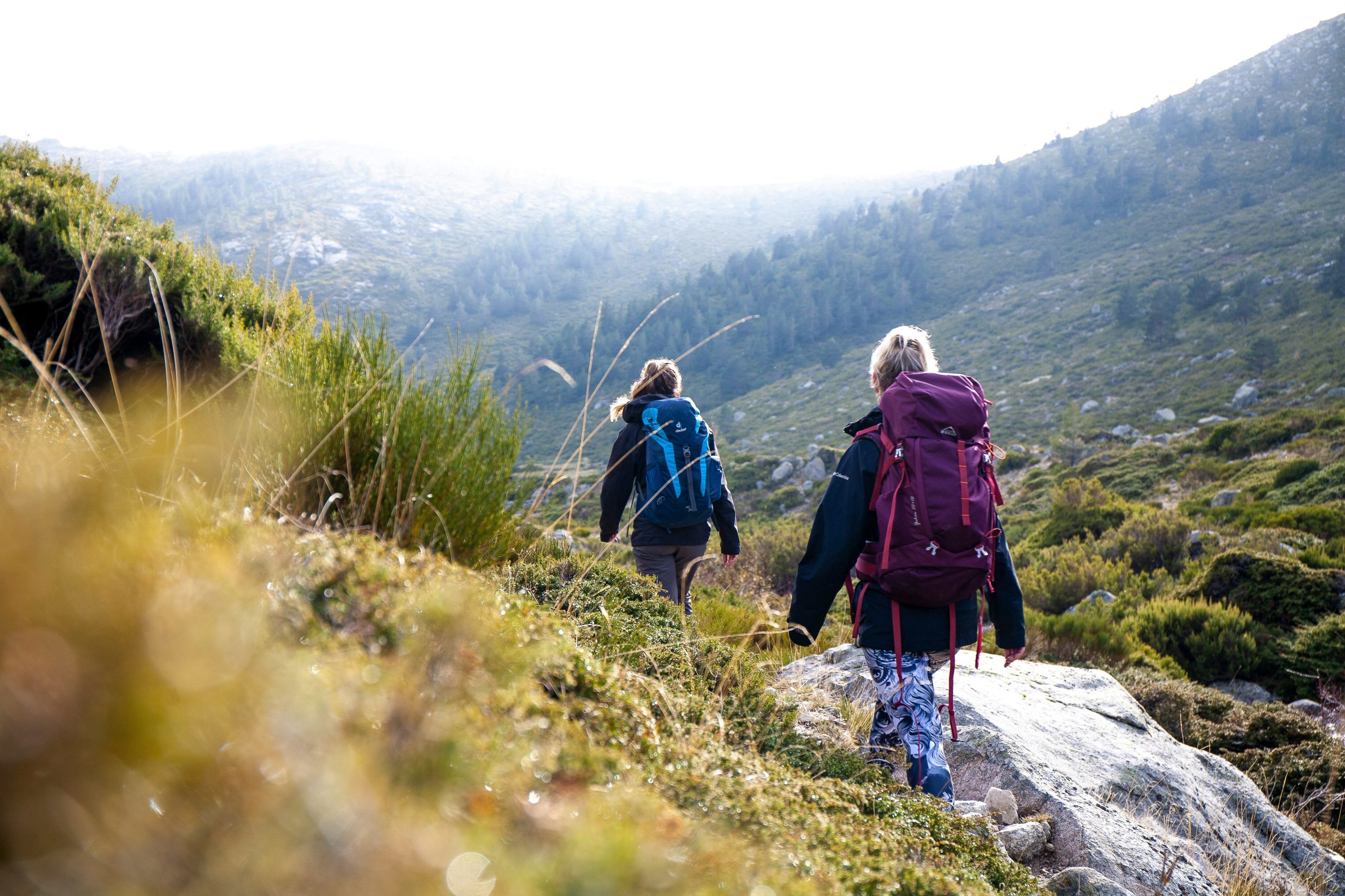 Explora Málaga: Deporte y naturaleza en la Costa del Sol 2 Sports