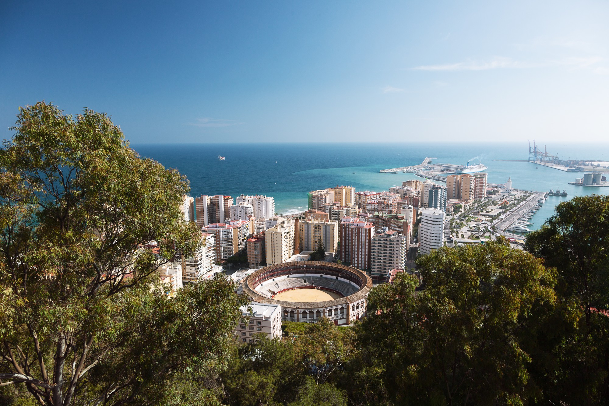Sobre nosotros WhyMalaga