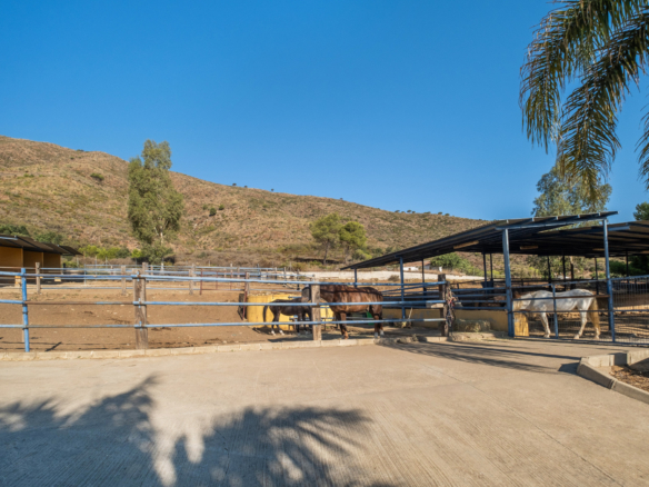 AMAZING EQUESTRIAN PROPERTY 15 MINUTES FROM THE BEACH