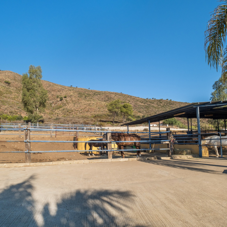 AMAZING EQUESTRIAN PROPERTY 15 MINUTES FROM THE BEACH